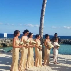 Honey Couture BRIELLE Gold Sheer Sequin W Sheer Insert Evening Gown Dress